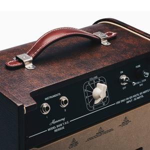 8418 Reissue Tube Combo Amplifier (2019 Limited Edition)
